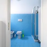 Scaldasole 6
